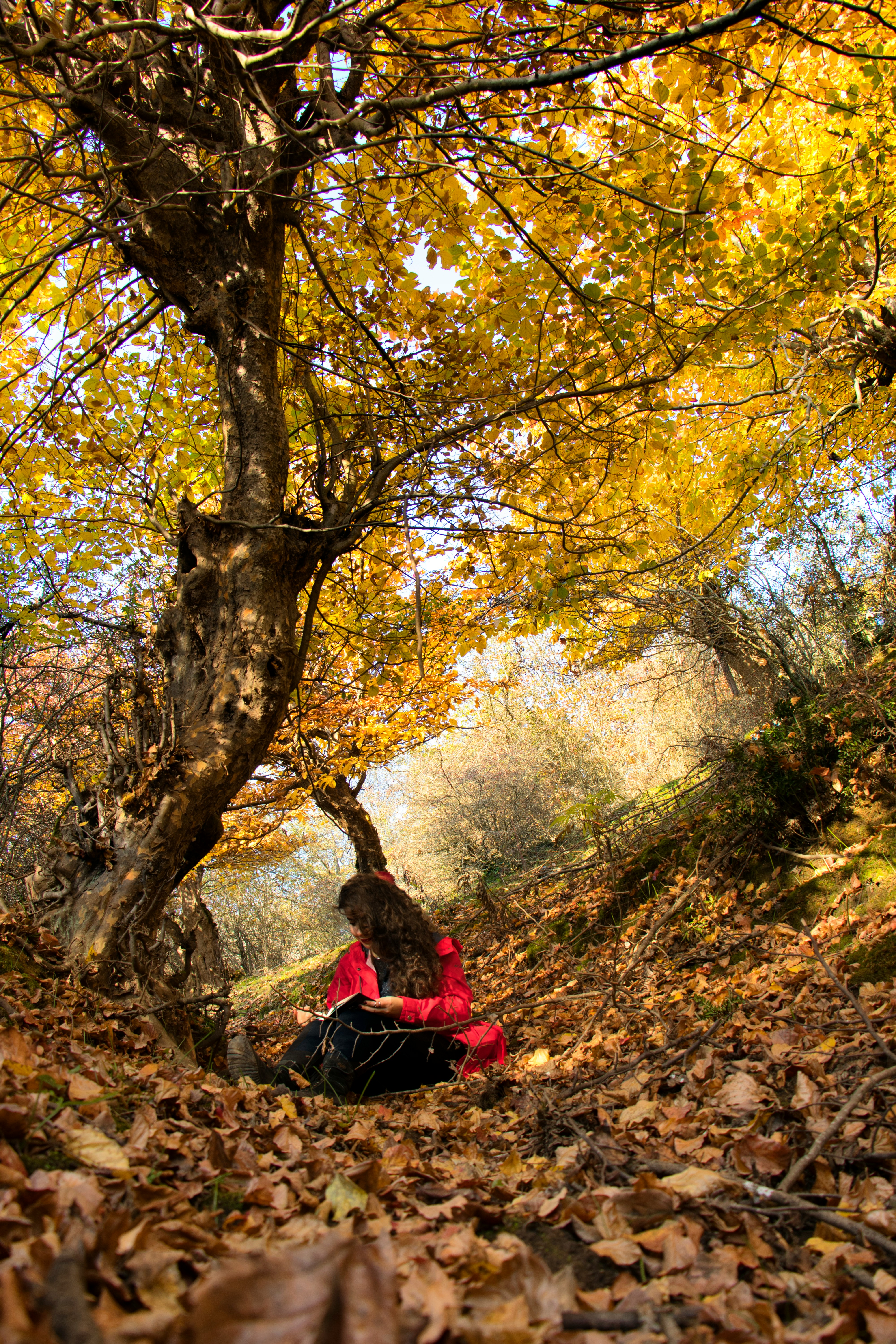 短视频随享缩略图